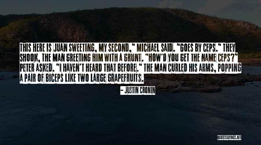 Greeting Someone Quotes By Justin Cronin