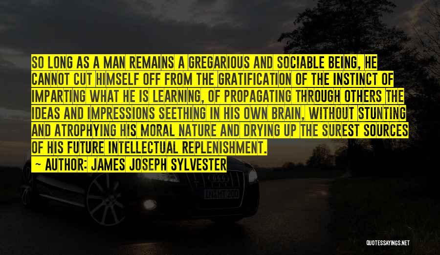 Gregarious Quotes By James Joseph Sylvester