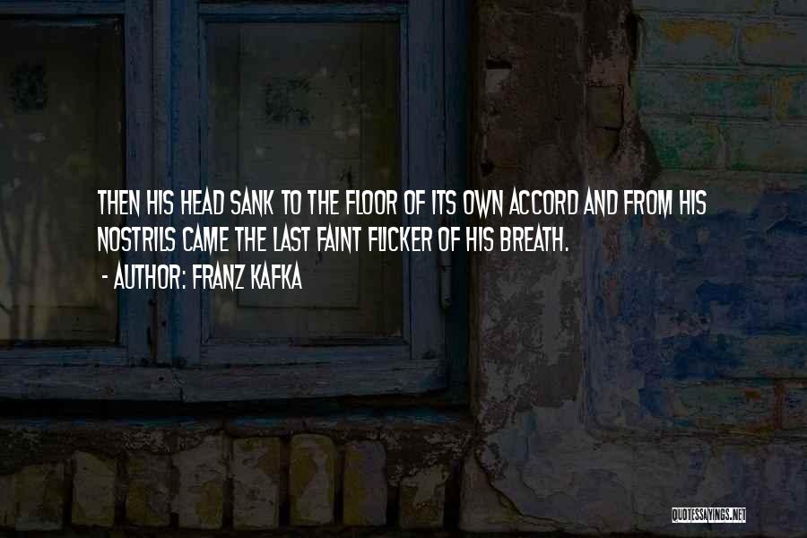 Gregor Samsa Quotes By Franz Kafka