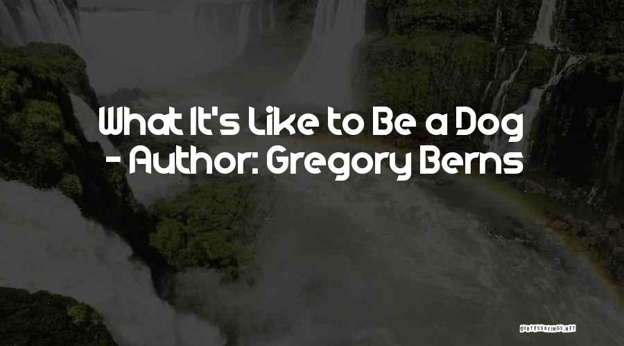 Gregory Berns Quotes 1476614