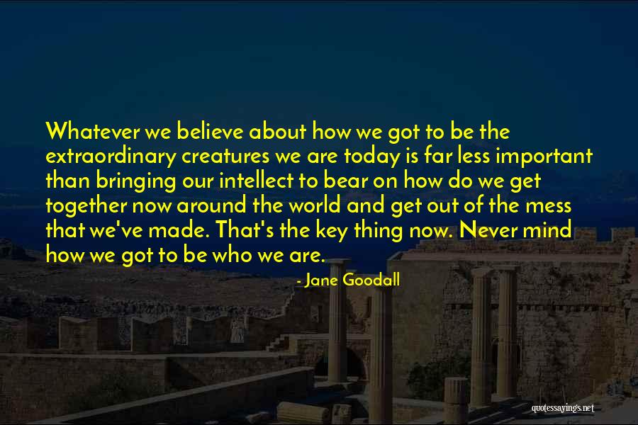 Gregory Blaxland Quotes By Jane Goodall Gregory Blaxland Quotes By Jane Goodall
