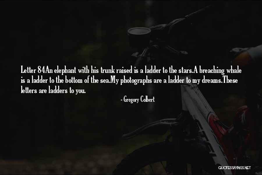 Gregory Colbert Quotes 305342 Gregory Colbert Quotes 305342