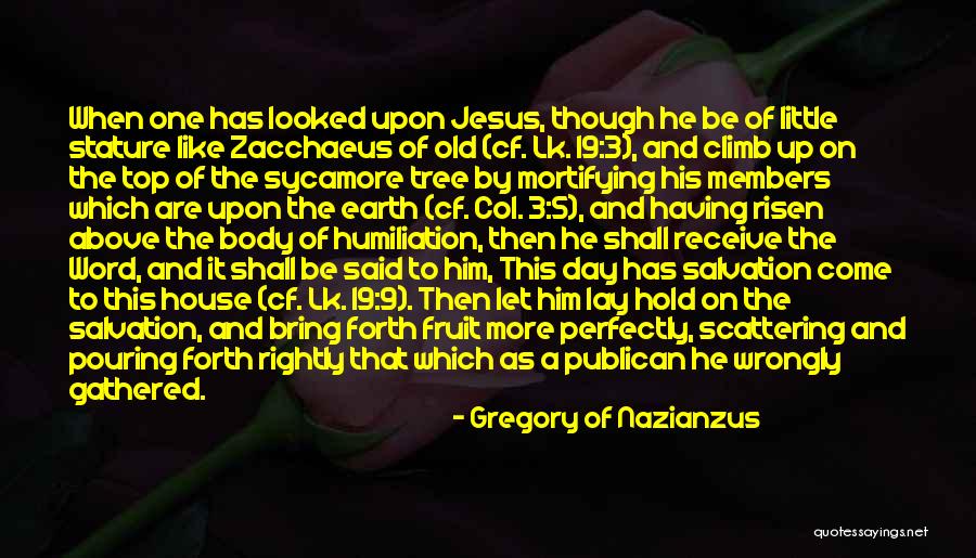 Gregory Of Nazianzus Quotes 748521