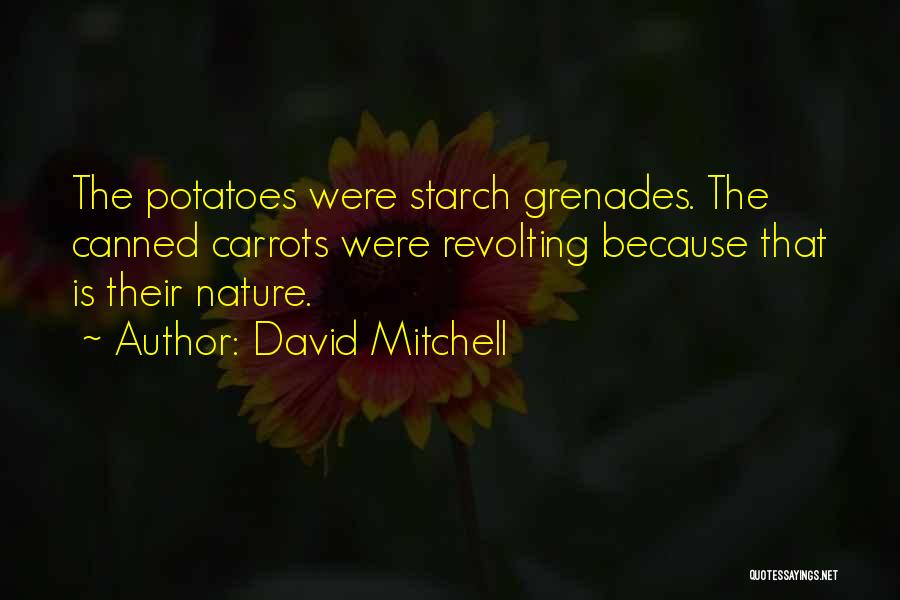 Grenades Quotes By David Mitchell