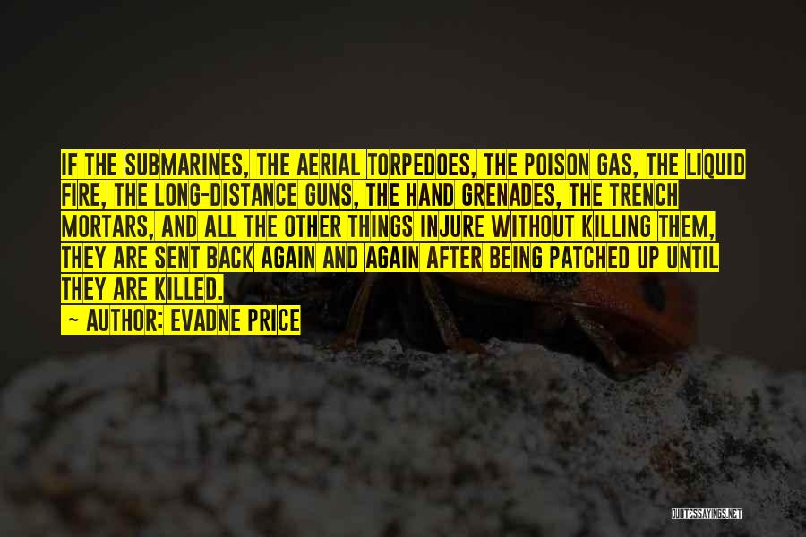 Grenades Quotes By Evadne Price