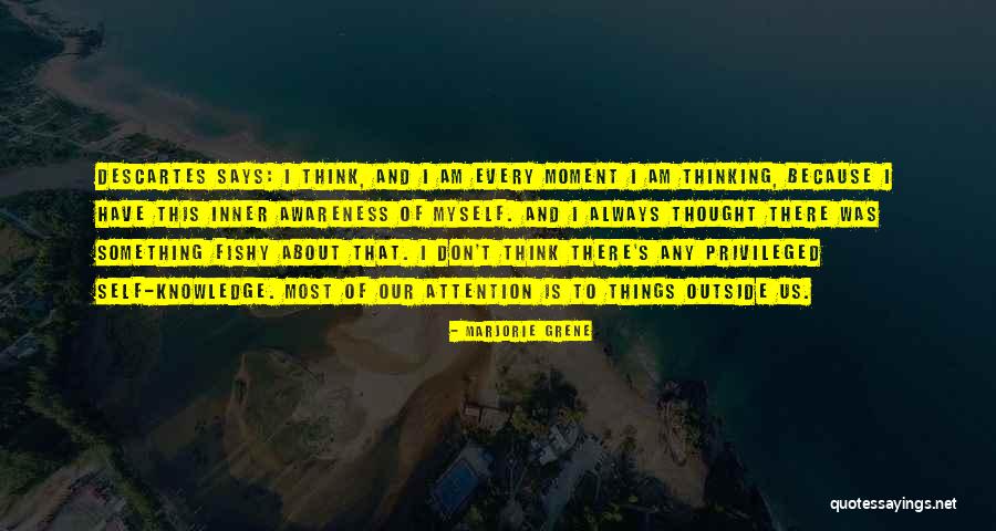 Grene Quotes By Marjorie Grene Grene Quotes By Marjorie Grene