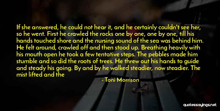 Gresser Construction Quotes By Toni Morrison Gresser Construction Quotes By Toni Morrison