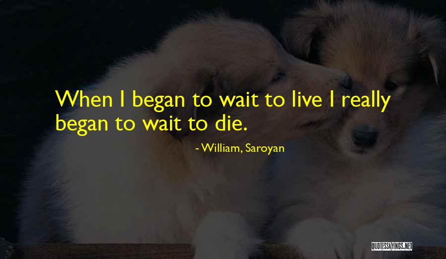 Gresser Construction Quotes By William, Saroyan Gresser Construction Quotes By William, Saroyan
