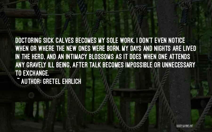 Gretel Ehrlich Quotes 2106943