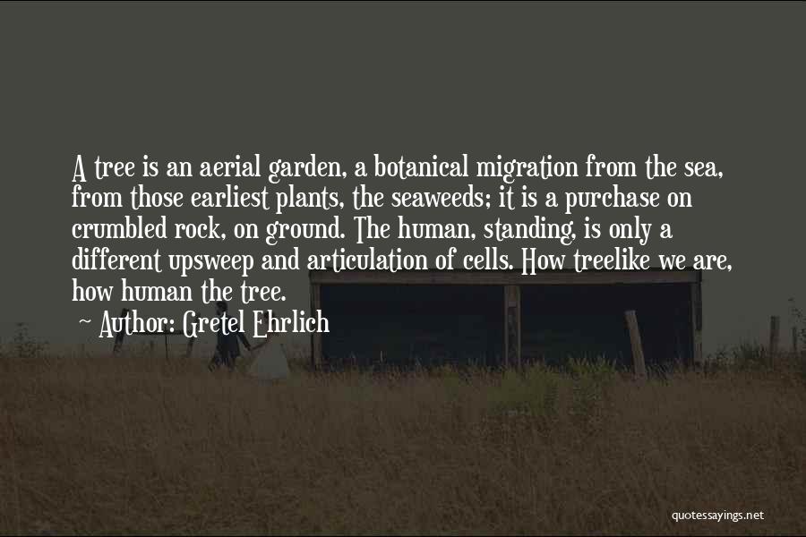 Gretel Ehrlich Quotes 2109963