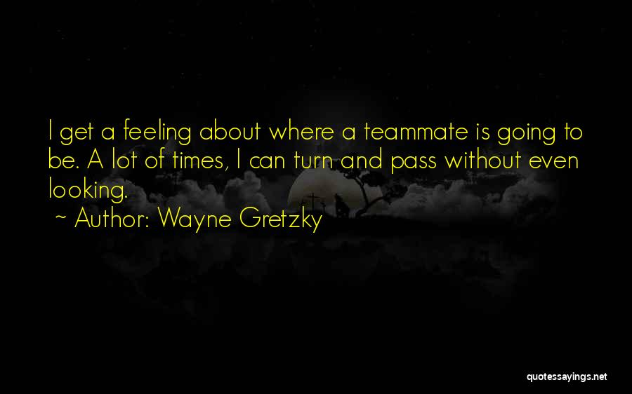 Gretzky Quotes By Wayne Gretzky