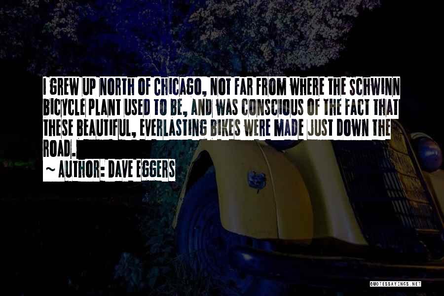 Grew Up Quotes By Dave Eggers