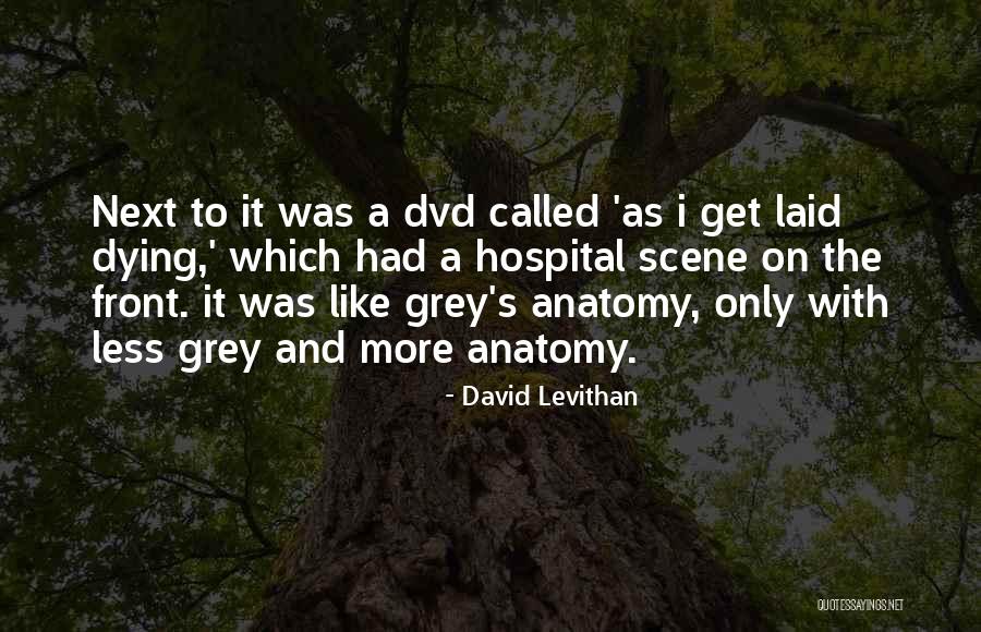 Grey Anatomy Quotes By David Levithan