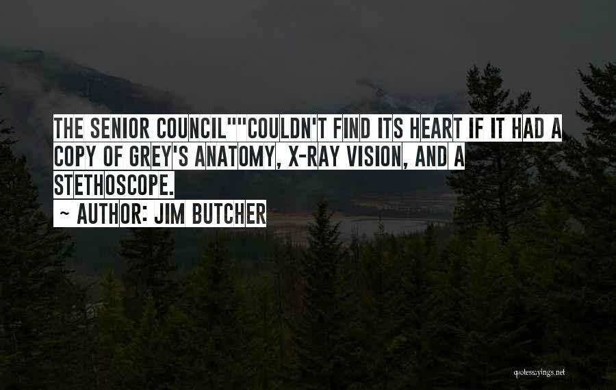 Grey Anatomy Quotes By Jim Butcher