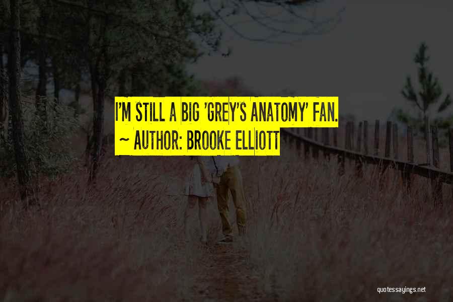 Grey Anatomy She's Gone Quotes By Brooke Elliott