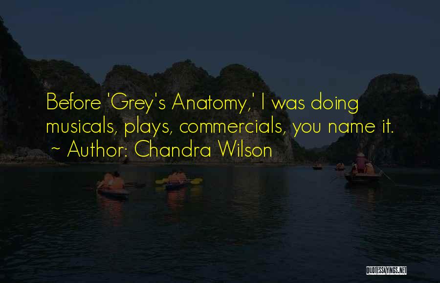 Grey Anatomy She's Gone Quotes By Chandra Wilson