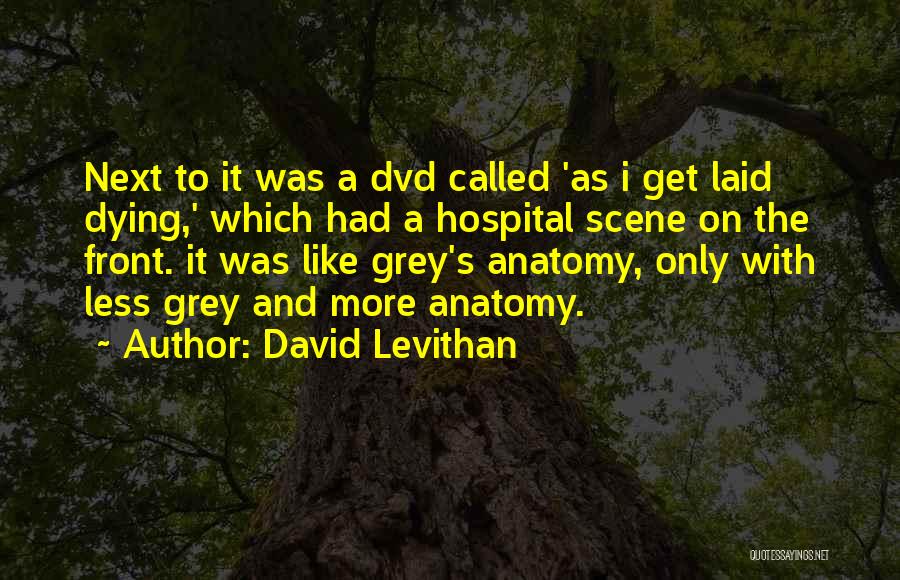 Grey Anatomy She's Gone Quotes By David Levithan