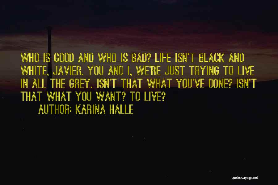 Grey And Black Quotes By Karina Halle