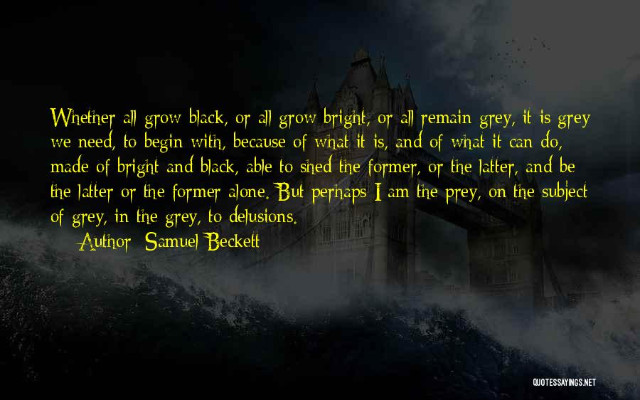 Grey And Black Quotes By Samuel Beckett