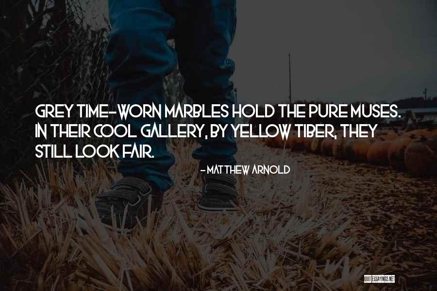 Grey And Yellow Quotes By Matthew Arnold Grey And Yellow Quotes By Matthew Arnold