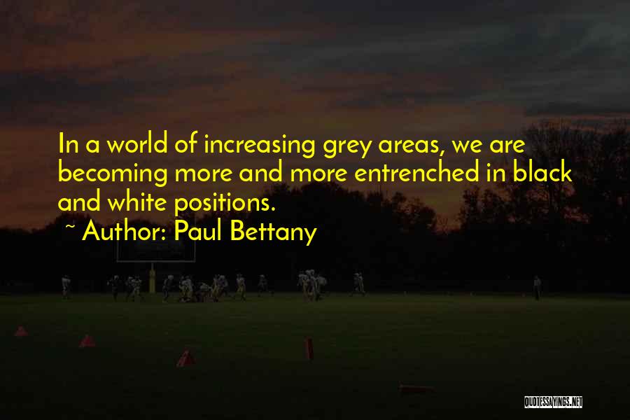 Grey Areas Quotes By Paul Bettany