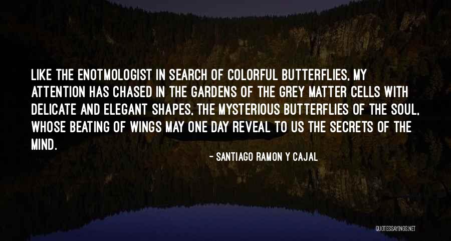 Grey Garden Quotes By Santiago Ramon Y Cajal