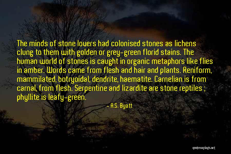 Grey Is Quotes By A.S. Byatt Grey Is Quotes By A.S. Byatt
