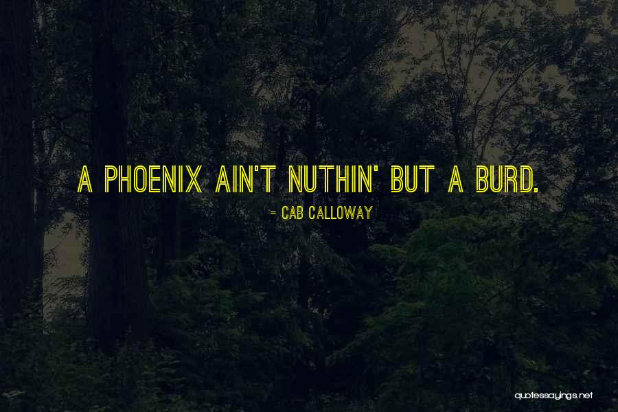 Grey Knight Quotes By Cab Calloway Grey Knight Quotes By Cab Calloway