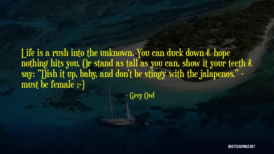 Grey Owl Quotes 1507173