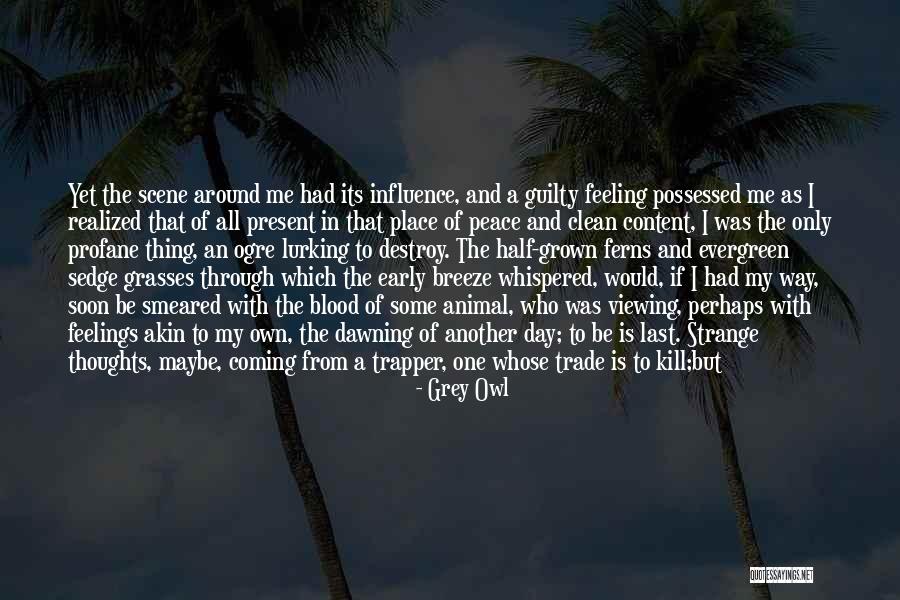 Grey Owl Quotes 696168 Grey Owl Quotes 696168