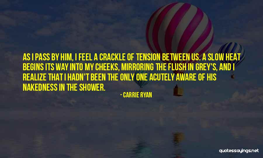 Grey Quotes By Carrie Ryan