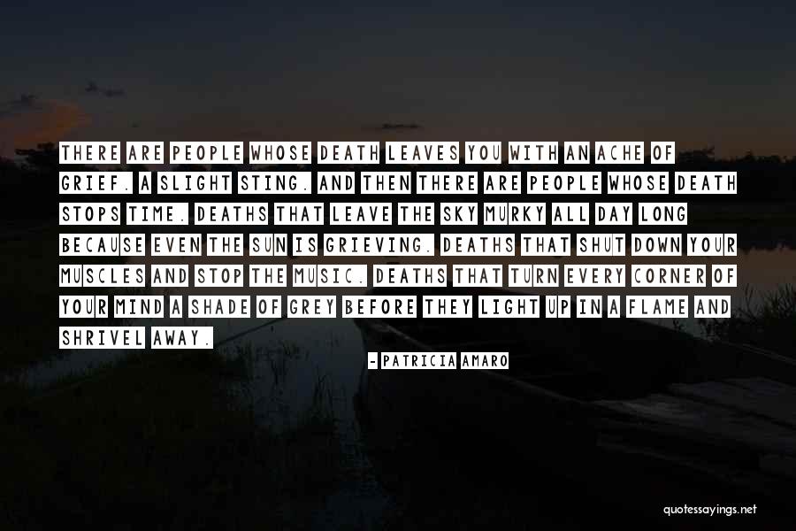 Grey Shade Quotes By Patricia Amaro Grey Shade Quotes By Patricia Amaro