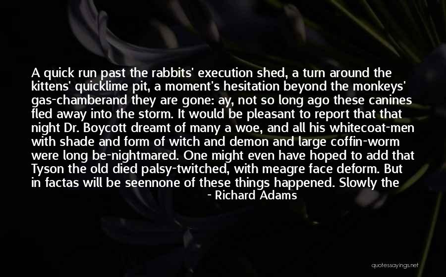 Grey Shade Quotes By Richard Adams Grey Shade Quotes By Richard Adams