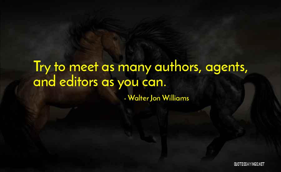 Grey Sister Quotes By Walter Jon Williams