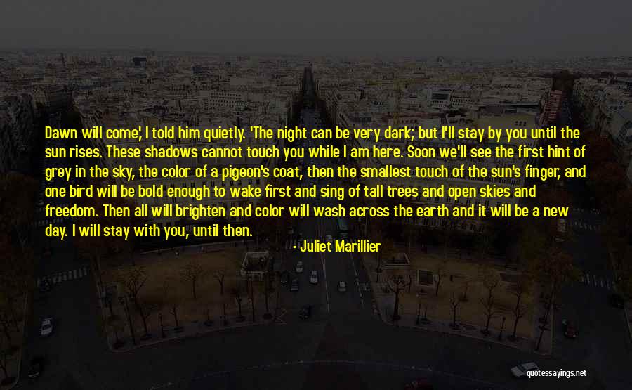 Grey Skies Quotes By Juliet Marillier