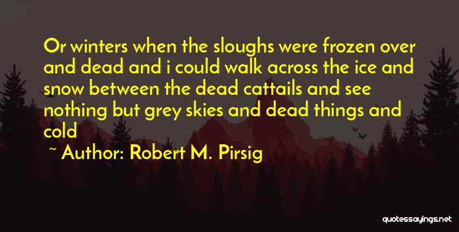 Grey Skies Quotes By Robert M. Pirsig