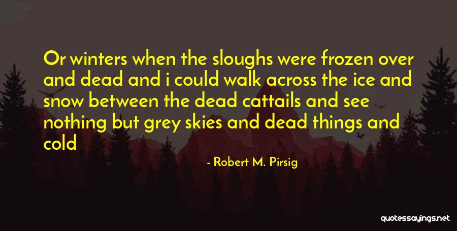 Grey Skies Quotes By Robert M. Pirsig