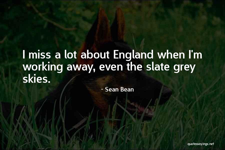 Grey Skies Quotes By Sean Bean