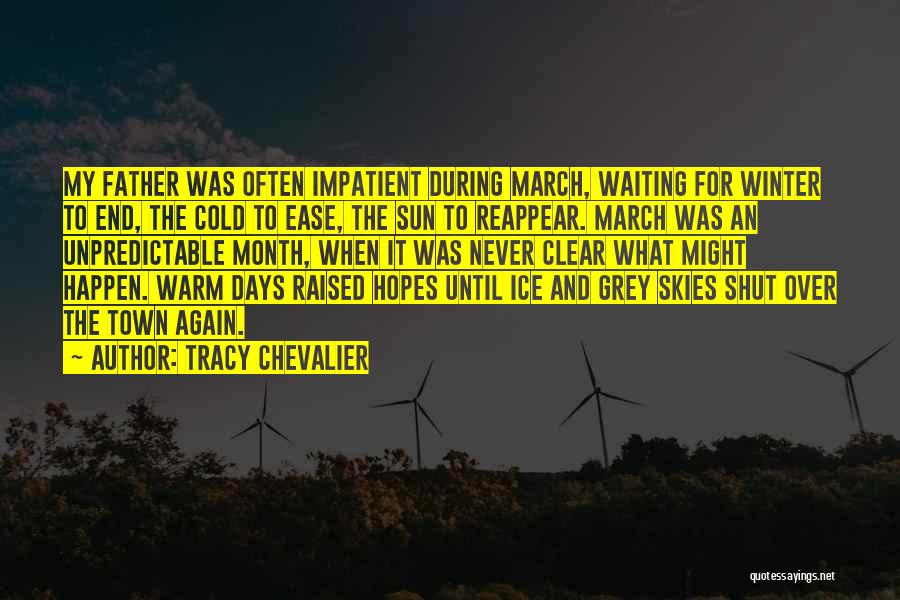Grey Skies Quotes By Tracy Chevalier
