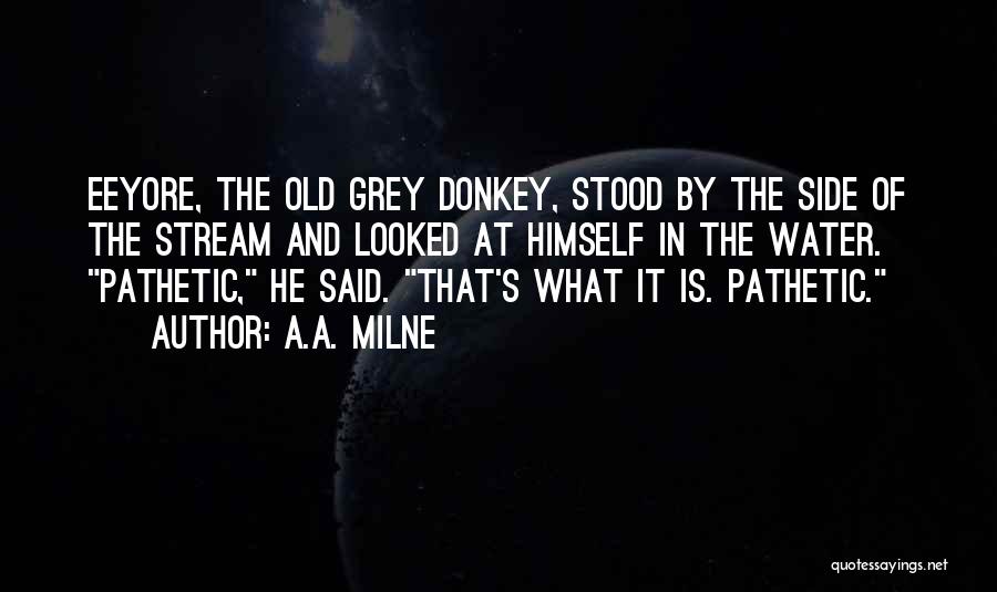 Grey Water Quotes By A.A. Milne