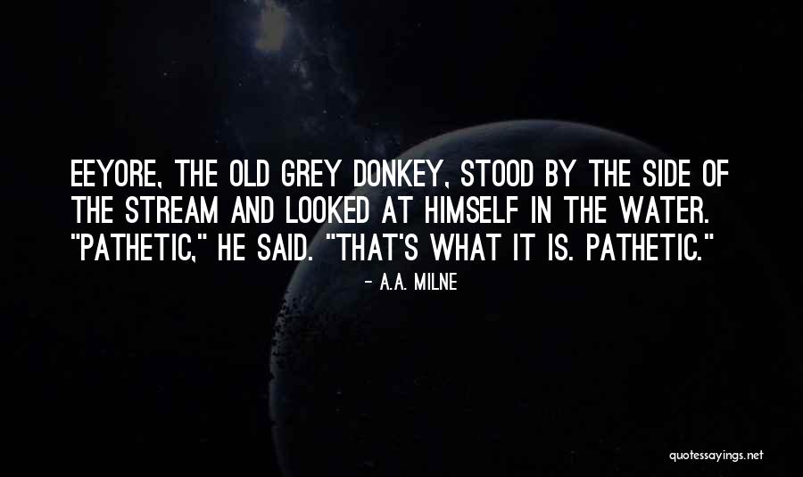 Grey Water Quotes By A.A. Milne