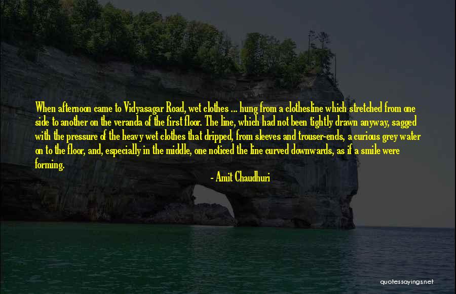 Grey Water Quotes By Amit Chaudhuri