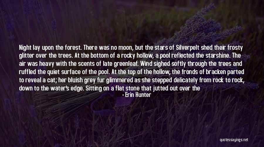 Grey Water Quotes By Erin Hunter Grey Water Quotes By Erin Hunter