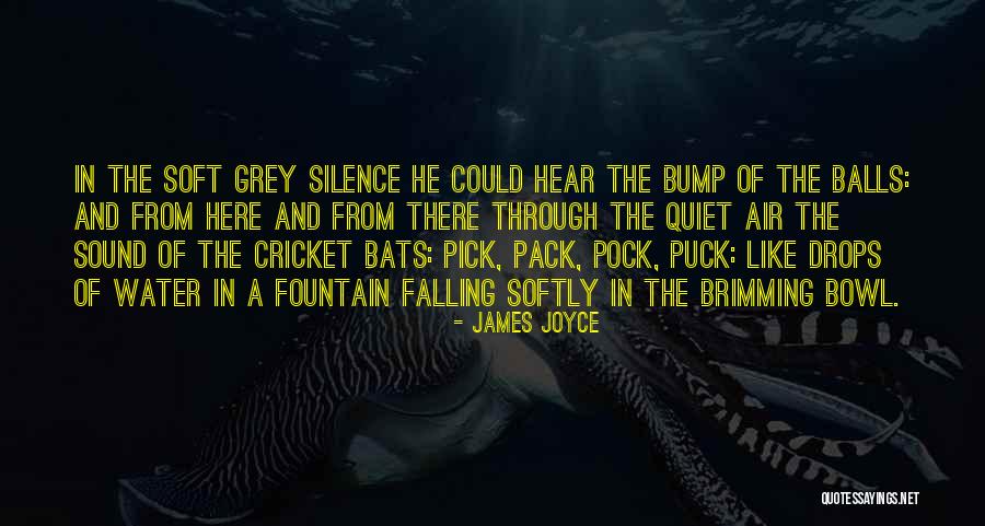 Grey Water Quotes By James Joyce