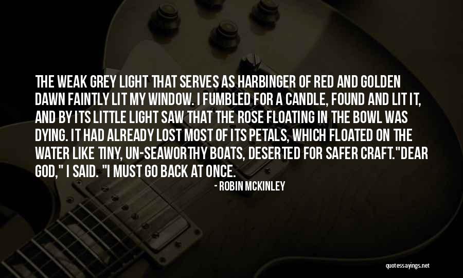 Grey Water Quotes By Robin McKinley Grey Water Quotes By Robin McKinley