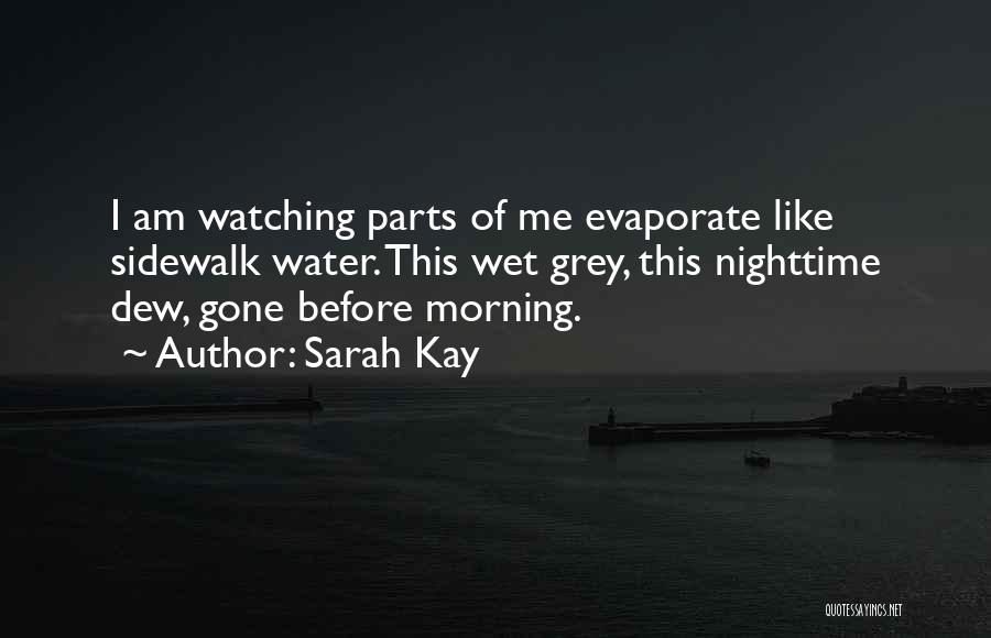 Grey Water Quotes By Sarah Kay