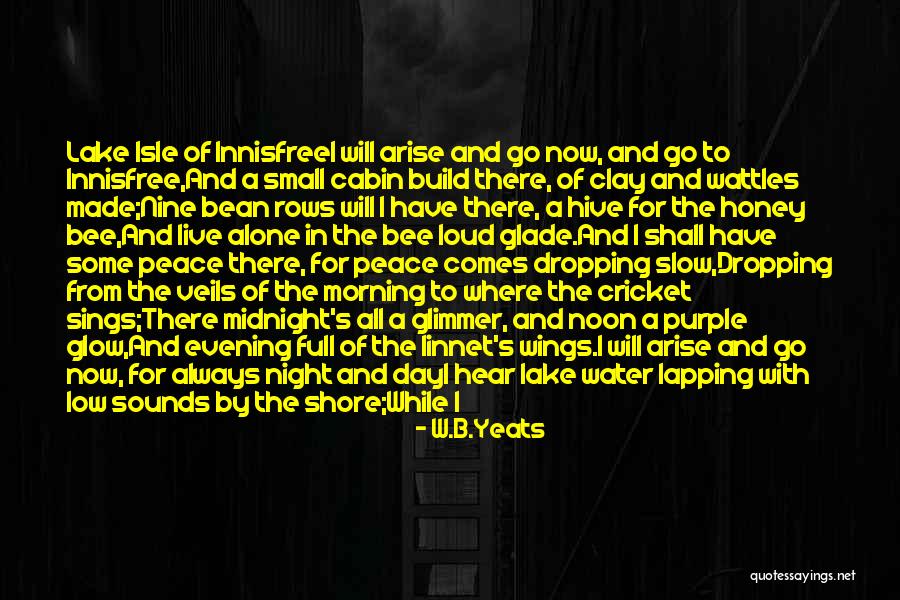 Grey Water Quotes By W.B.Yeats Grey Water Quotes By W.B.Yeats