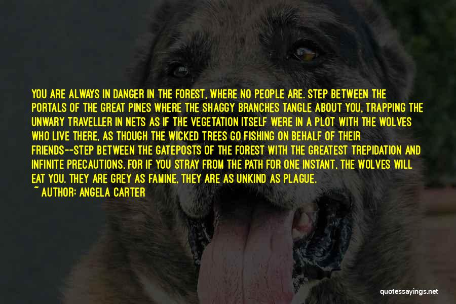 Grey Wolves Quotes By Angela Carter