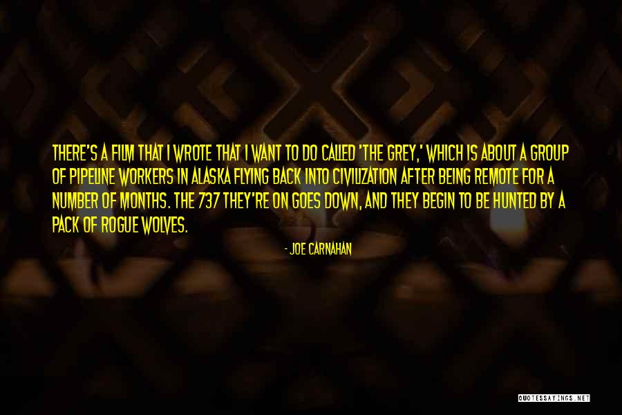 Grey Wolves Quotes By Joe Carnahan