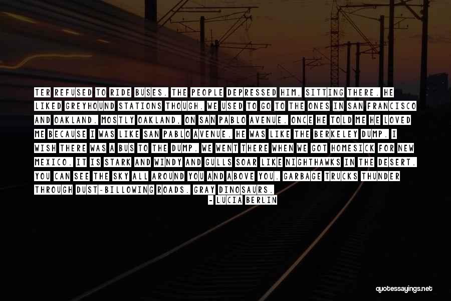 Greyhound Quotes By Lucia Berlin Greyhound Quotes By Lucia Berlin
